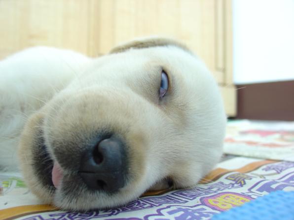 华地国际控股集团有限公司(镇江八佰伴)_公司